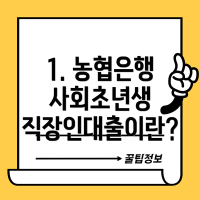 1. 농협은행 사회초년생 직장인대출이란?