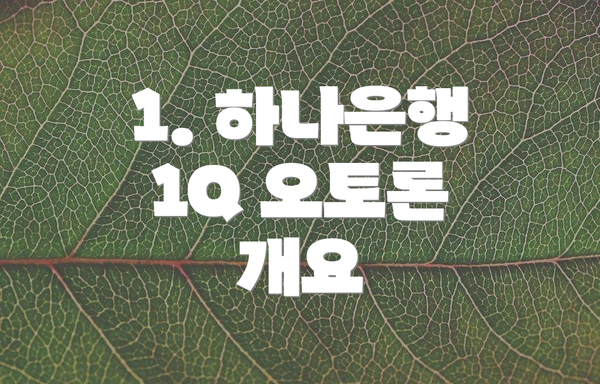 1. 하나은행 1Q 오토론 개요