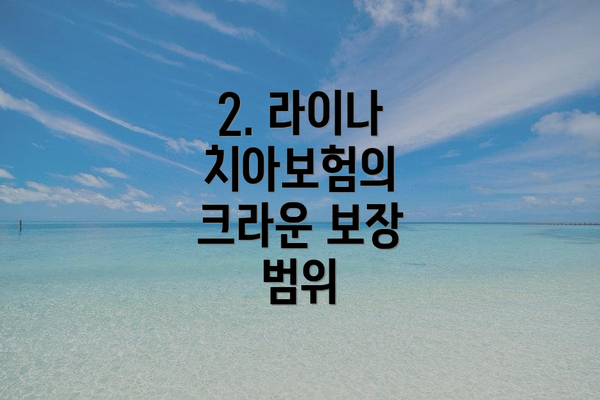 2. 라이나 치아보험의 크라운 보장 범위