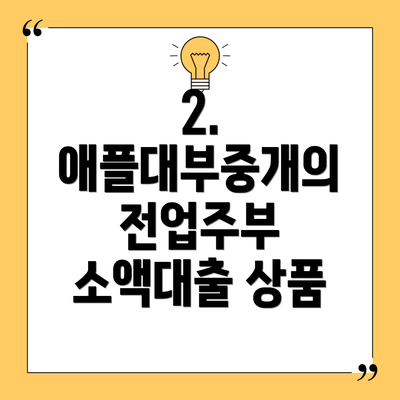 2. 애플대부중개의 전업주부 소액대출 상품