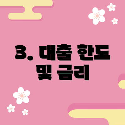 3. 대출 한도 및 금리