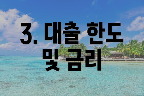 3. 대출 한도 및 금리