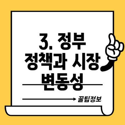 3. 정부 정책과 시장 변동성