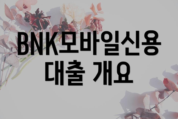 BNK모바일신용대출 개요
