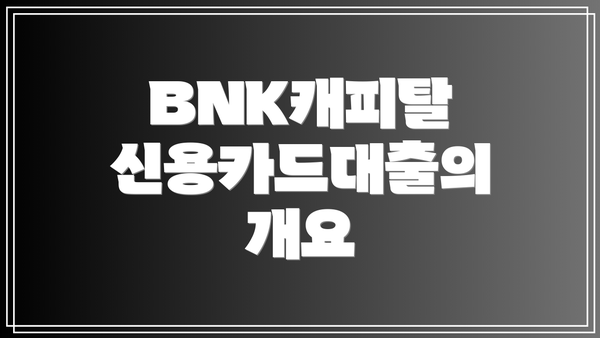 BNK캐피탈 신용카드대출의 개요