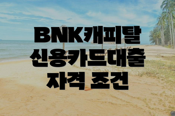 BNK캐피탈 신용카드대출 자격 조건