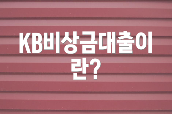KB비상금대출이란?