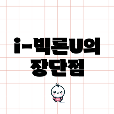 i-빅론U의 장단점