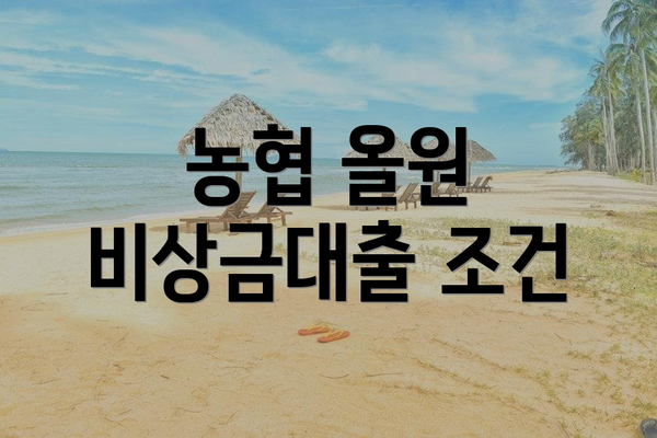 농협 올원 비상금대출 조건