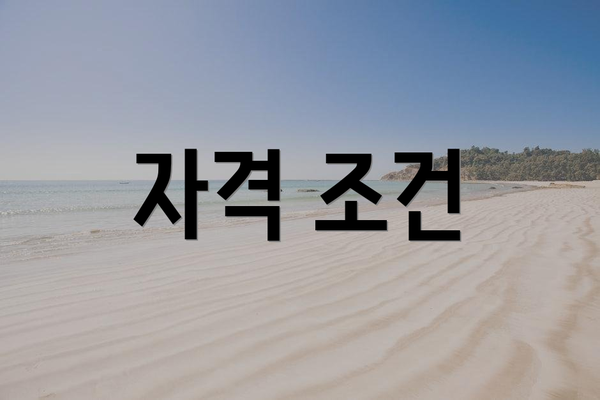 자격 조건