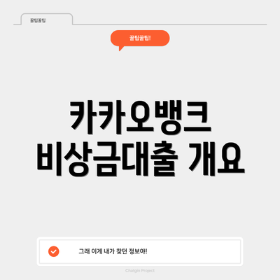 카카오뱅크 비상금대출 개요