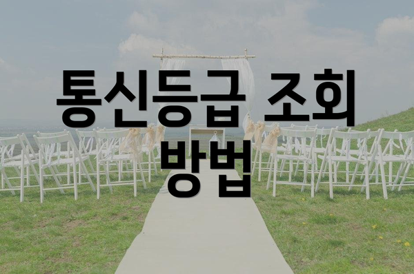 통신등급 조회 방법