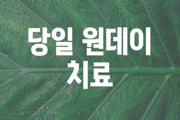 당일 원데이 치료