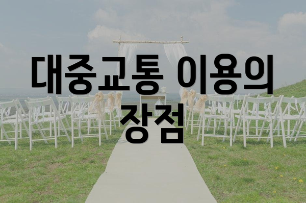 대중교통 이용의 장점