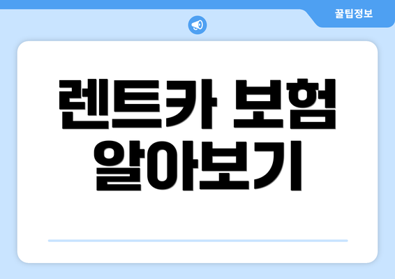 렌트카 보험 알아보기