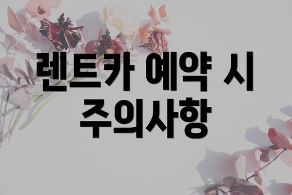 렌트카 예약 시 주의사항