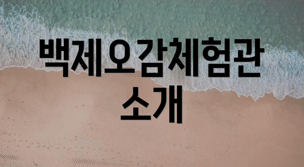 백제오감체험관 소개