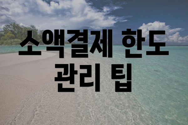 소액결제 한도 관리 팁