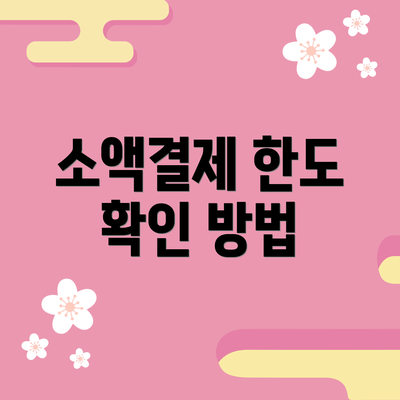 소액결제 한도 확인 방법