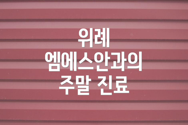 위례 엠에스안과의 주말 진료