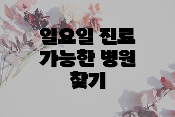 일요일 진료 가능한 병원 찾기