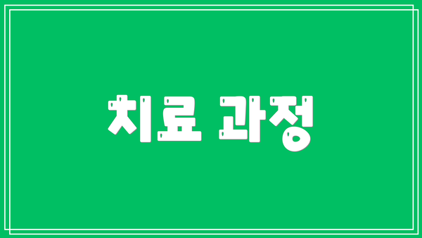 치료 과정