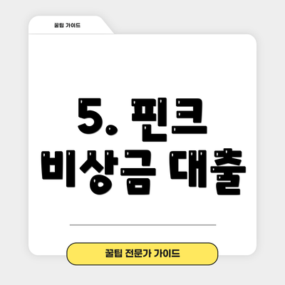 5. 핀크 비상금 대출