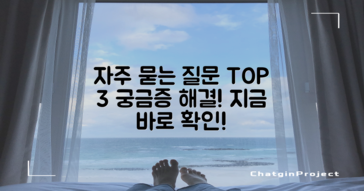 자주 묻는 질문