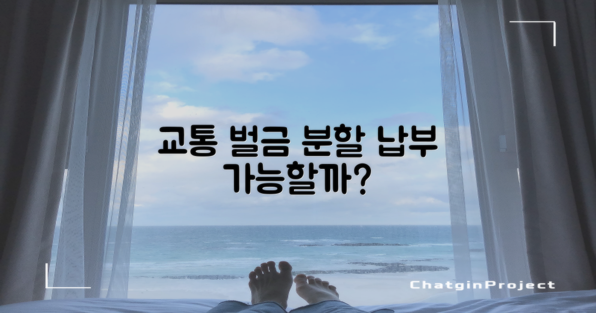 교통 벌금, 나눠내도 괜찮을까?