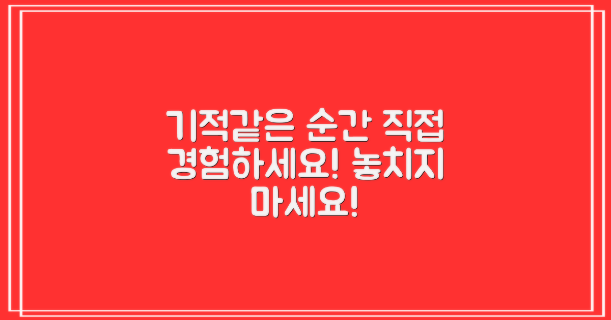 기적 같은 순간, 직접 경험해 보세요!