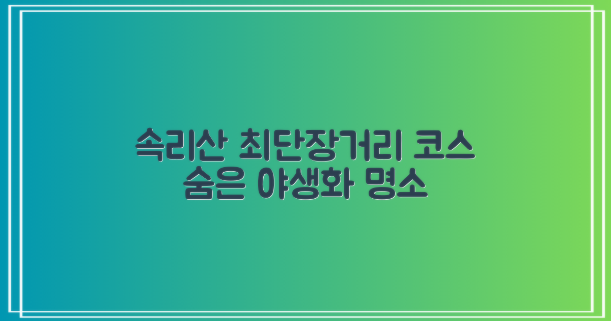 속리산, 최단부터 장거리까지: 당신에게 맞는 코스와 숨은 야생화 명소
