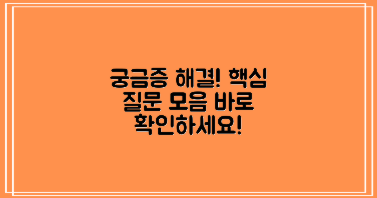 자주 묻는 질문