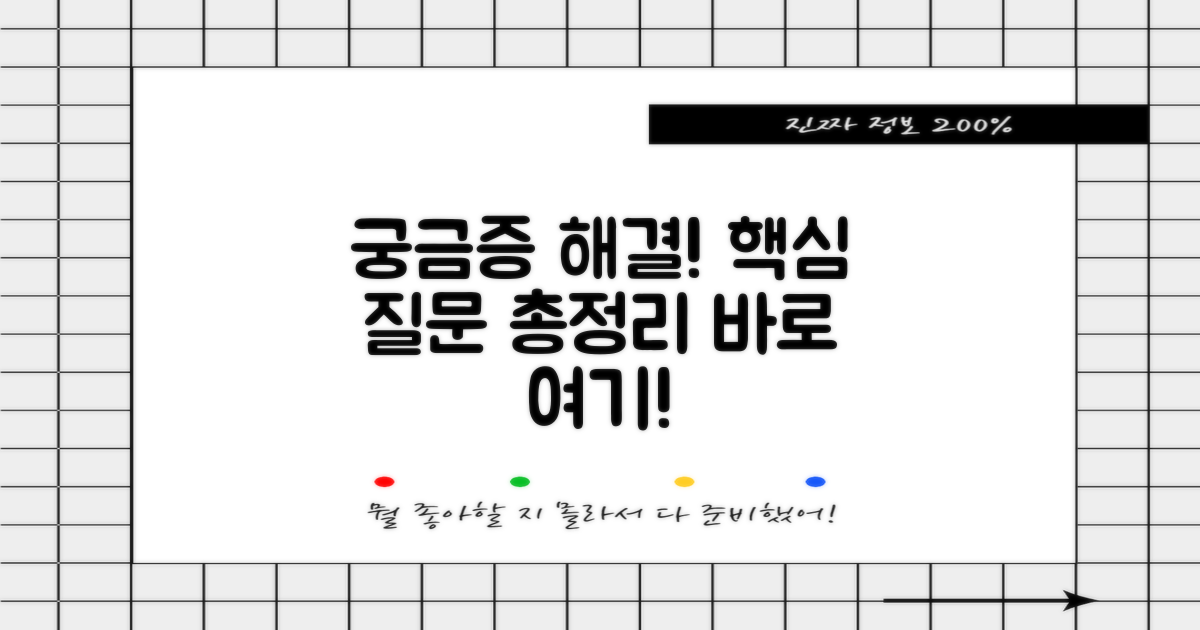 자주 묻는 질문