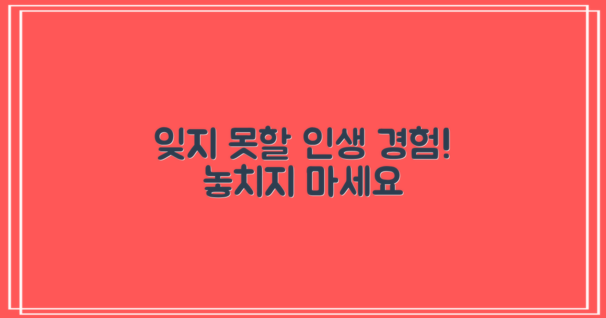 잊지 못할 경험, 놓치지 마세요!