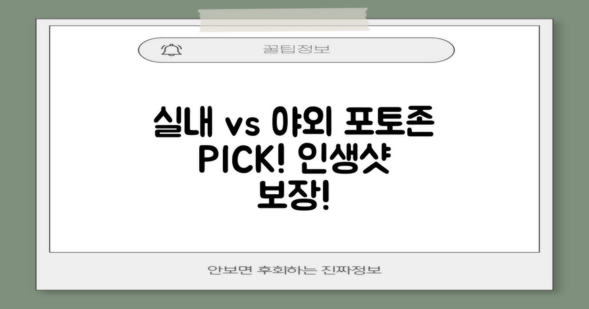 실내 vs 야외 포토존