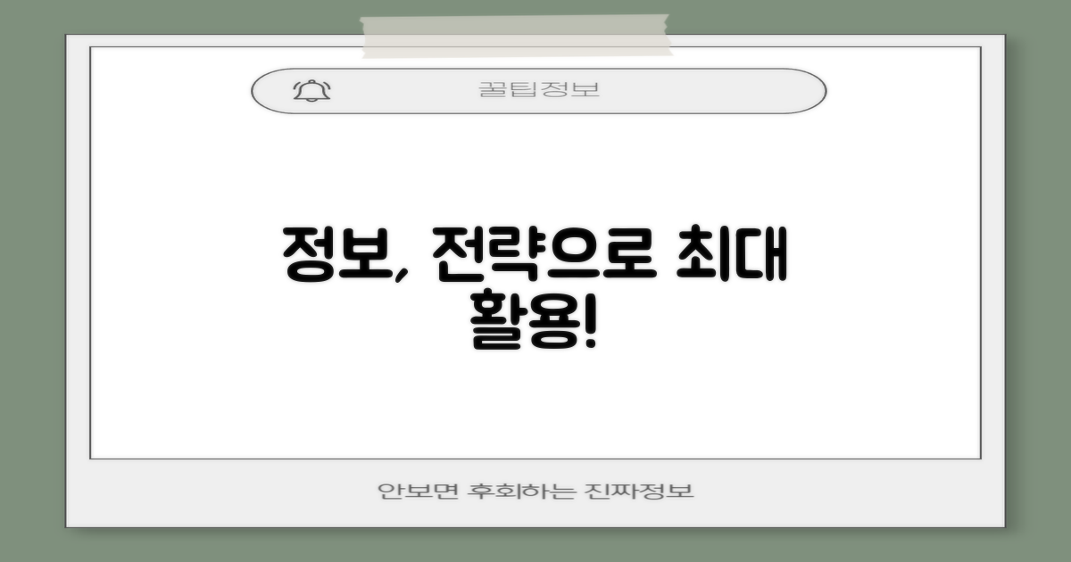 단순 정보와 전략적 활용